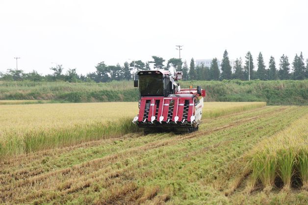 태안군 식량산업 5개년 종합계획 농식품부 최종 승인