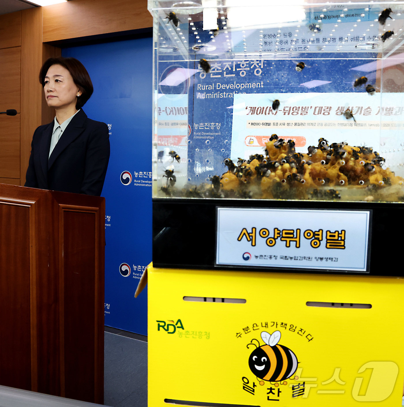 (세종=뉴스1) 김기남 기자 = 방혜선 농촌진흥청 국립농업과학원 농업생물부장이 28일 세종시 정부세종청사 농림축산식품부에서  화분매개벌의 대표적인 K-뒤영벌의 기술개발 성과 및 수 …