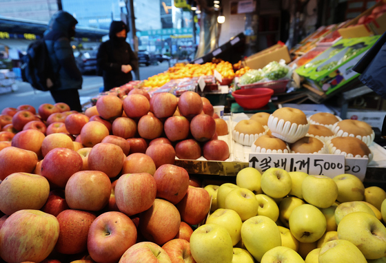 울산시, 설 성수품 수송 화물차 도심통행 제한 완화