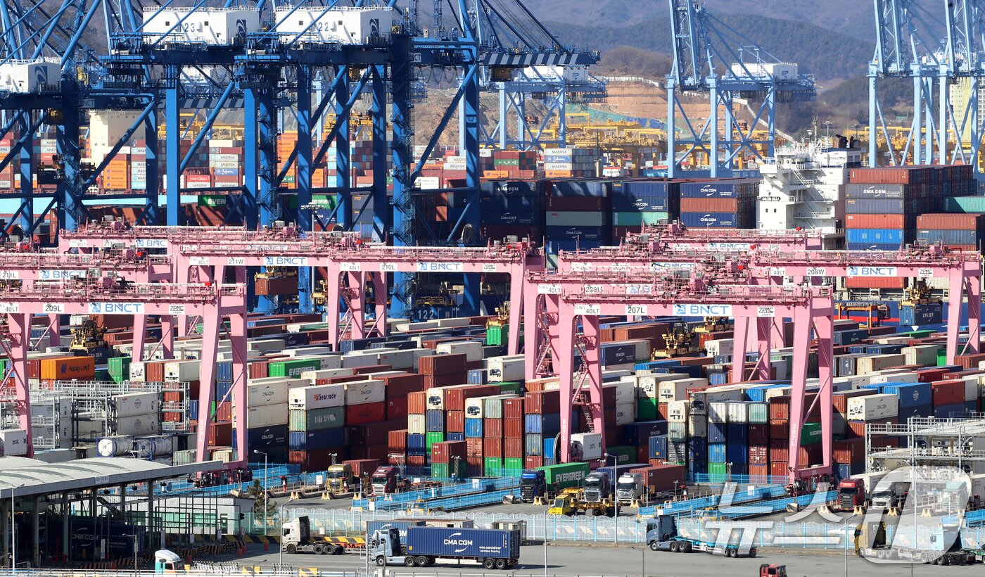 본문 이미지 - 부산 강서구 부산신항 부두 야적장에 컨테이너가 쌓인 모습.ⓒ 뉴스1 윤일지 기자