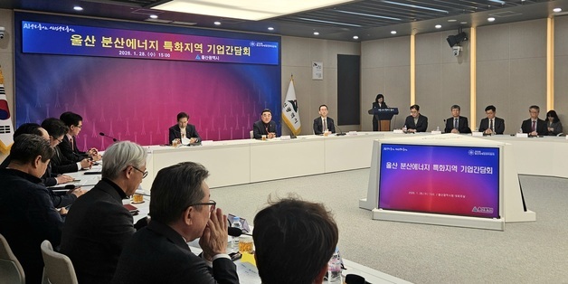 울산시, 분산에너지 특화지역 확대 시동…전기료 차등제 조기도입 등 논의