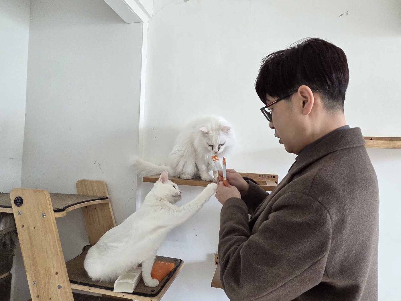 본문 이미지 - 신준호 어반포즈 대표가 28일 서울 용산구 나비야사랑해 보호소에 방문해 보호 고양이들에게 닥터헤리엇 신제품을 먹이고 있다. ⓒ 뉴스1 한송아 기자