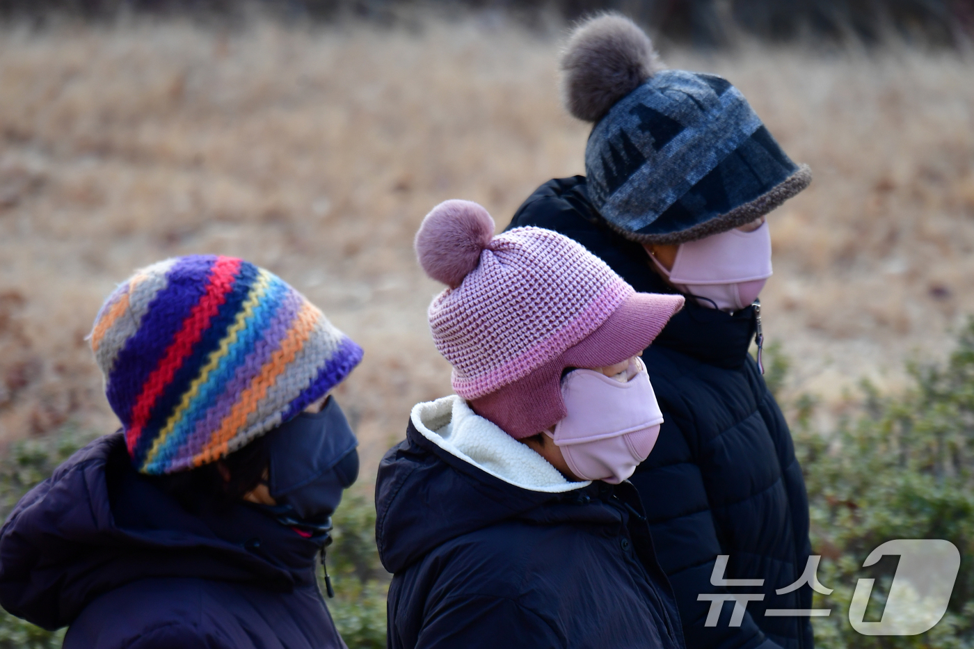 (포항=뉴스1) 최창호 기자 = 29일 경북 포항지역에 연일 동장군이 기승을 부리고 있는 가운데 남구 대잠동 철길 숲에서 마스크와 모자 등 두터운 옷차림을 한 시민들이 산책하고 있 …