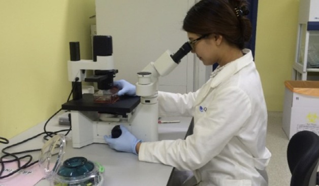 큐리언트 '아드릭세티닙', 개별 환자 대상 임상 신약 사용 승인