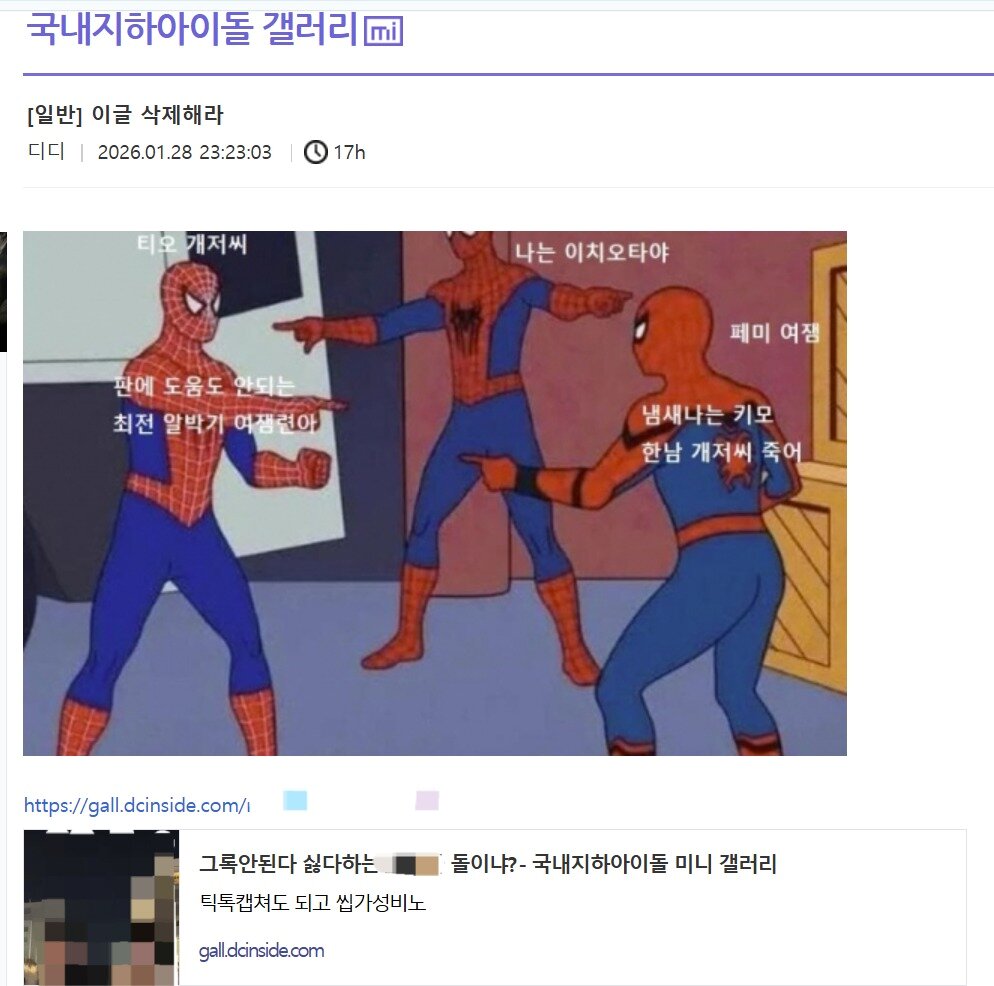 본문 이미지 - 디시인사이드 국내지하아이돌 갤러리 갈무리