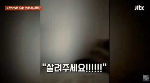 함께 키우더니 헤어진 연인과 다투자 '10개월 강아지' 내동댕이친 남성[영상]