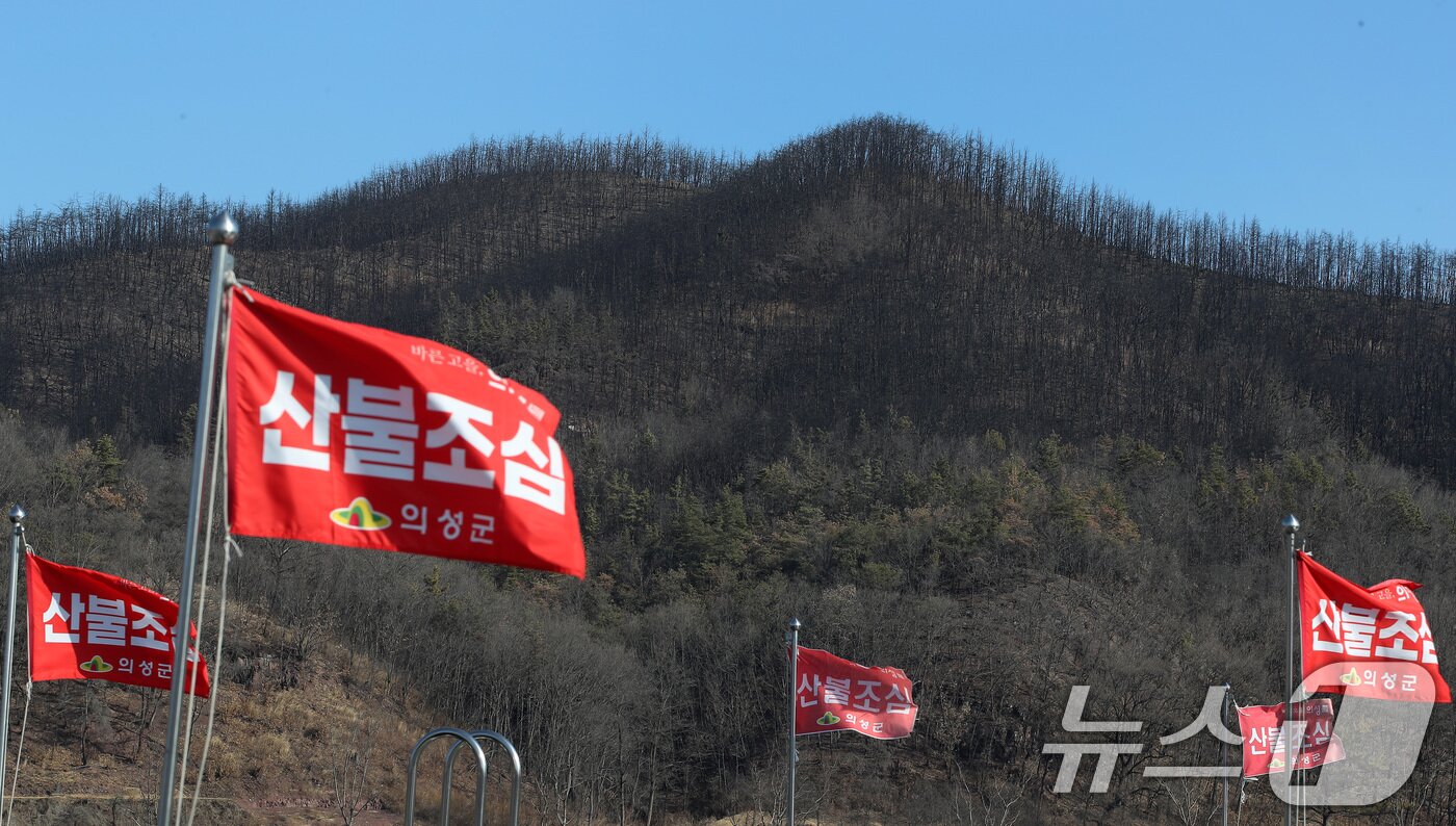 본문 이미지 - 산불조심 깃발.(자료사진)/뉴스1 DB