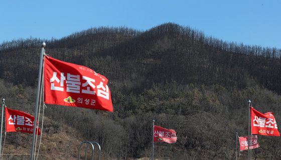 구미·문경·거창…영남지역 건조특보 속 산불 잇따라(종합)