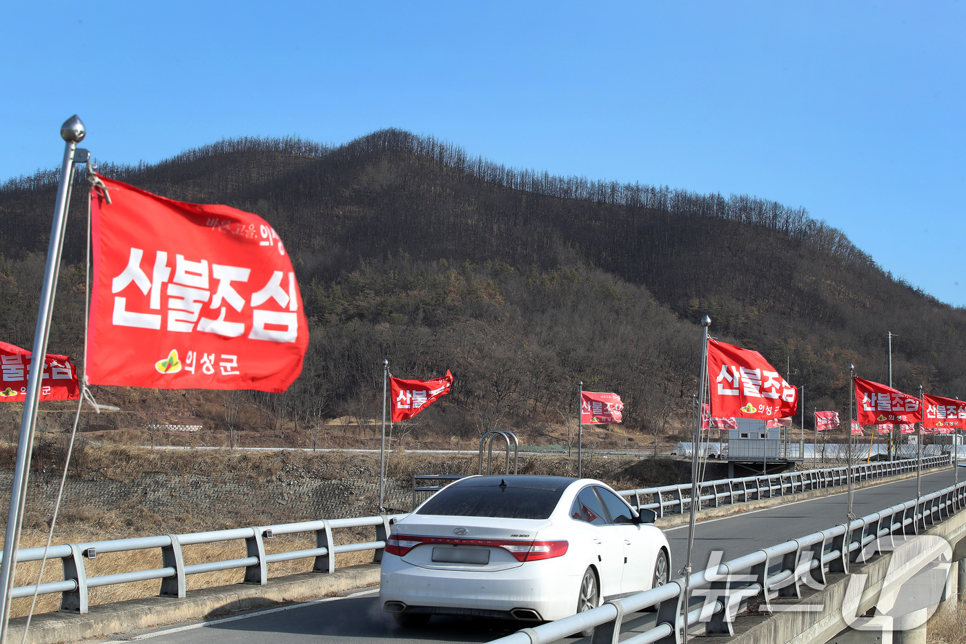 (의성=뉴스1) 공정식 기자 = 차고 건조한 날씨가 이어진 29일 경북 의성군 단촌면의 한 야산 앞에 산불조심 깃발이 바람에 나부끼고 있다. 뒤로 시커멓게 그을린 산은 지난해 경북 …