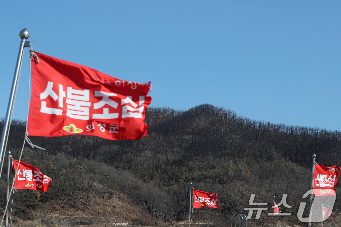 (의성=뉴스1) 공정식 기자 = 차고 건조한 날씨가 이어진 29일 경북 의성군 단촌면의 한 야산 앞에 산불조심 깃발이 바람에 나부끼고 있다. 뒤로 시커멓게 그을린 산은 지난해 경북 …