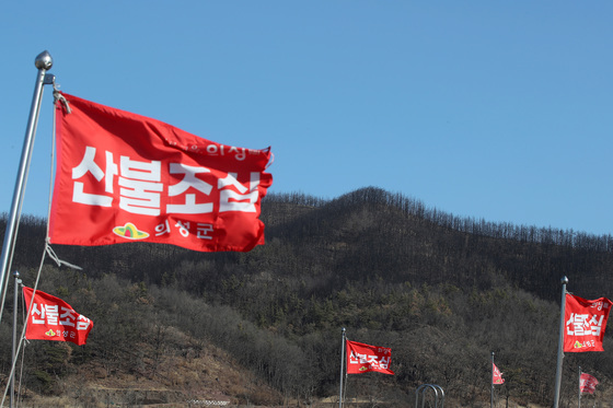 [오늘의 날씨] 대구·경북(30일,금)…한파·건조 지속, 낮 –1~4도