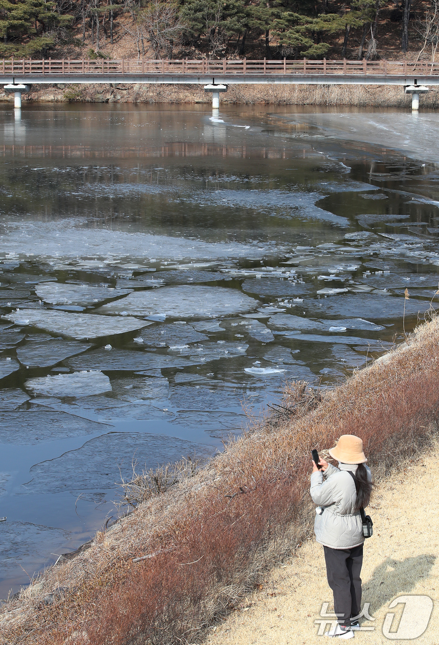 (구미=뉴스1) 공정식 기자 = 29일 경북 구미시 신동 학서지 생태공원에 얼음이 녹아 곳곳이 갈라져 있다.소방 당국은 일교차 큰 날씨가 이어지고 있지만, 낮 기온은 영상으로 오르 …