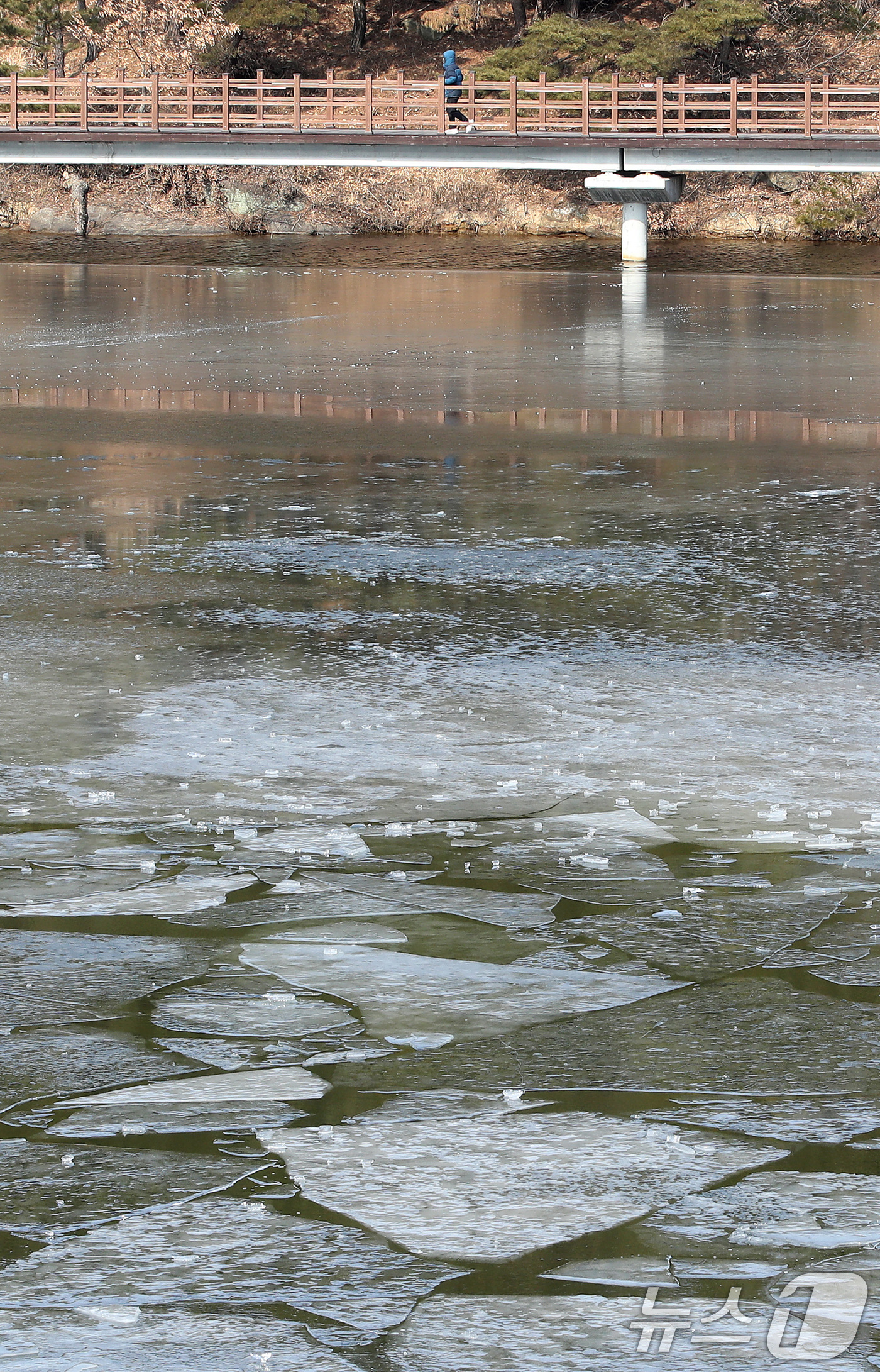 (구미=뉴스1) 공정식 기자 = 29일 경북 구미시 신동 학서지 생태공원에 얼음이 녹아 곳곳이 갈라져 있다.소방 당국은 일교차 큰 날씨가 이어지고 있지만, 낮 기온은 영상으로 오르 …