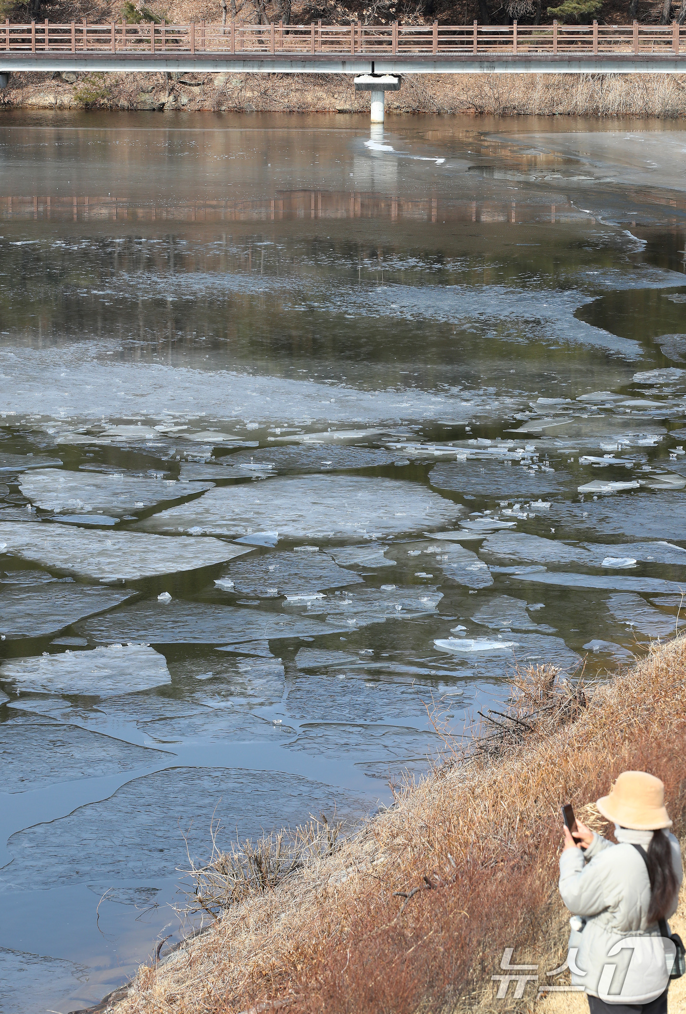 (구미=뉴스1) 공정식 기자 = 29일 경북 구미시 신동 학서지 생태공원에 얼음이 녹아 곳곳이 갈라져 있다.소방 당국은 일교차 큰 날씨가 이어지고 있지만, 낮 기온은 영상으로 오르 …