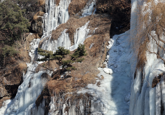 얼어붙은 홍제천 인공폭포