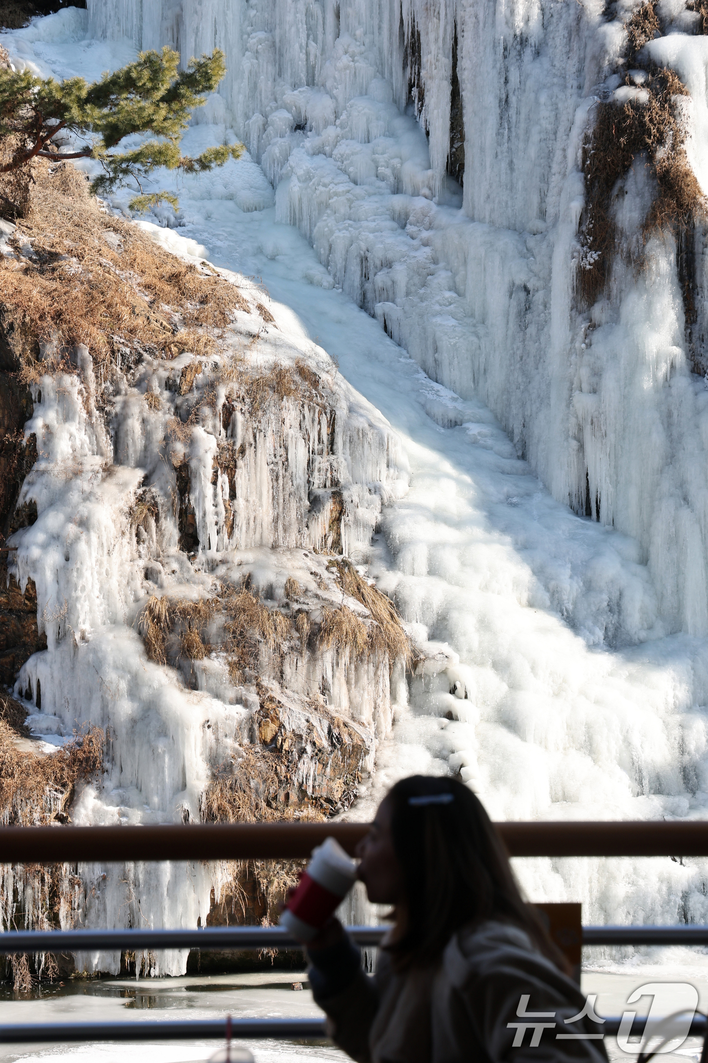 (서울=뉴스1) 황기선 기자 = 강추위가 이어지고 있는 29일 오후 서울 서대문구 홍제천 인공폭포가 얼어붙어 있다. 2026.1.29/뉴스1