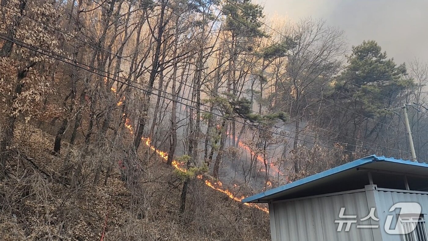 본문 이미지 - 단양군 매포읍 폐기물 업체에서 발생한 화재가 인근 야산으로 번지는 모습. (단양소방서 제공. 재판매 및 DB금지)/뉴스1  