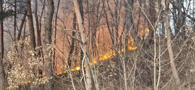 당진 고대면서 산불…32분 만에 진화