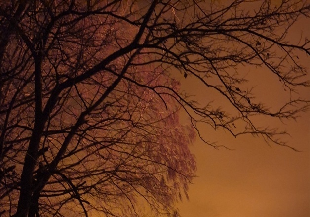 김해 공장 화재, 인근 산림으로 옮겨붙어…산림당국 262명 긴급 투입