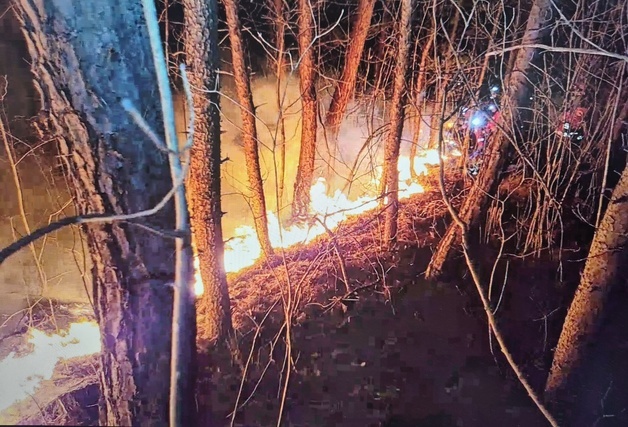 전북 남원시 백일리 인근 산불, 4시간 30분 만에 주불 진화