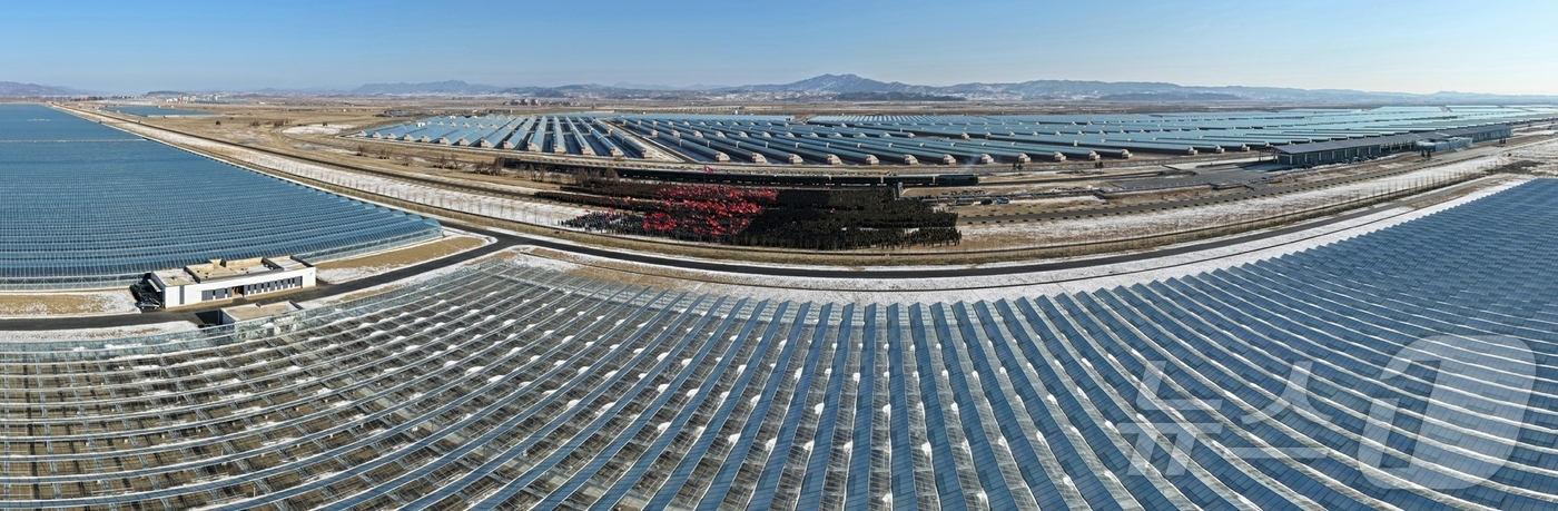 (평양 노동신문=뉴스1) = 북한 노동당 기관지 노동신문은 3일 김정은 총비서가 지난 2일 신의주온실종합농장 건설장을 찾고 청년전위 및 군인건설자들을 축하격려했다고 보도했다. 김 …