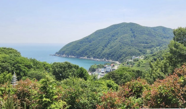 "부산 가덕도에 1096종 생물 서식…멸종위기 7종도 포함"