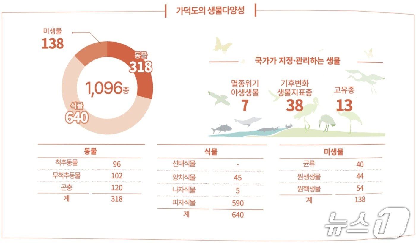 본문 이미지 - 가덕도의 생물다양성 도표. 가덕도에는 총 1096종이 서식하고 있는 것으로 나타났다. (국립호남권생물자원관 제공. 재판매 및 DB금지)