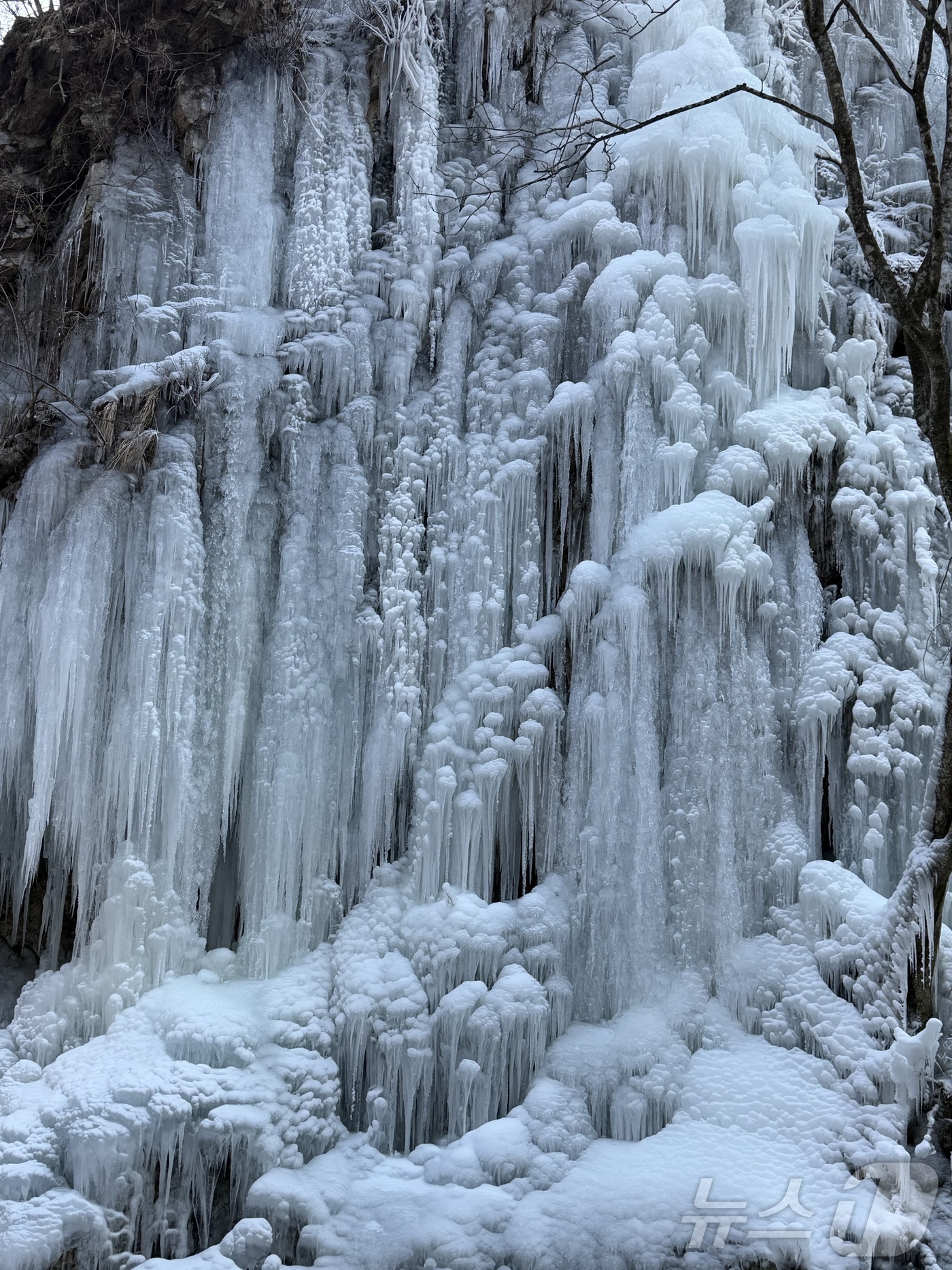 (춘천=뉴스1) 한귀섭 기자 = 연일 추위가 이어진 3일 강원 춘천 남산면 구곡폭포를 가기 전 한 바위에 대형고드름이 맺혀 있다. 2026.1.3/뉴스1
