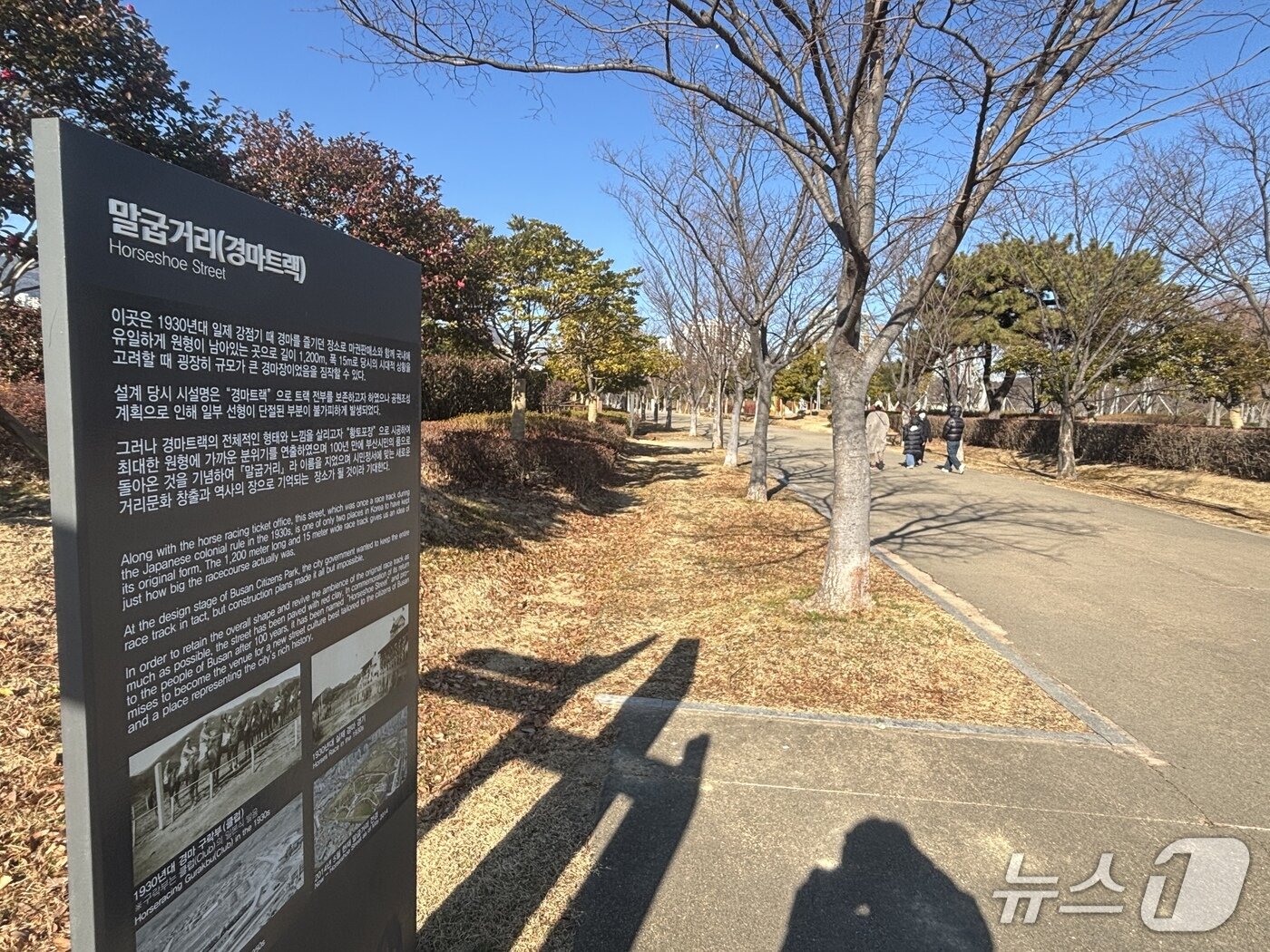 본문 이미지 - 옛 경마장 시절 남아있던 경마트랙의 모습을 살려 만든 부산시민공원 '말굽거리' 2026.1.3/뉴스1 ⓒ News1 홍윤 기자