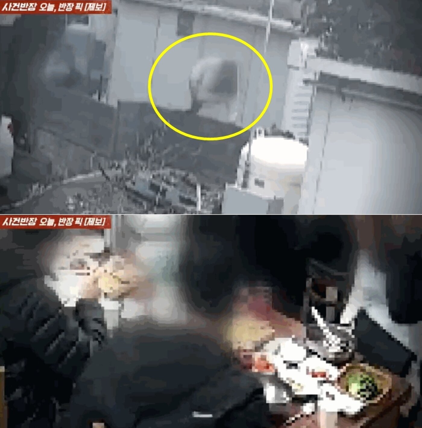 본문 이미지 - JTBC '사건반장'