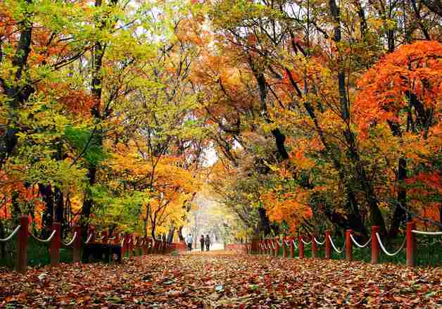 함양군, 지난해 방문객 전년도보다 16% 증가…도내 최고 증가율