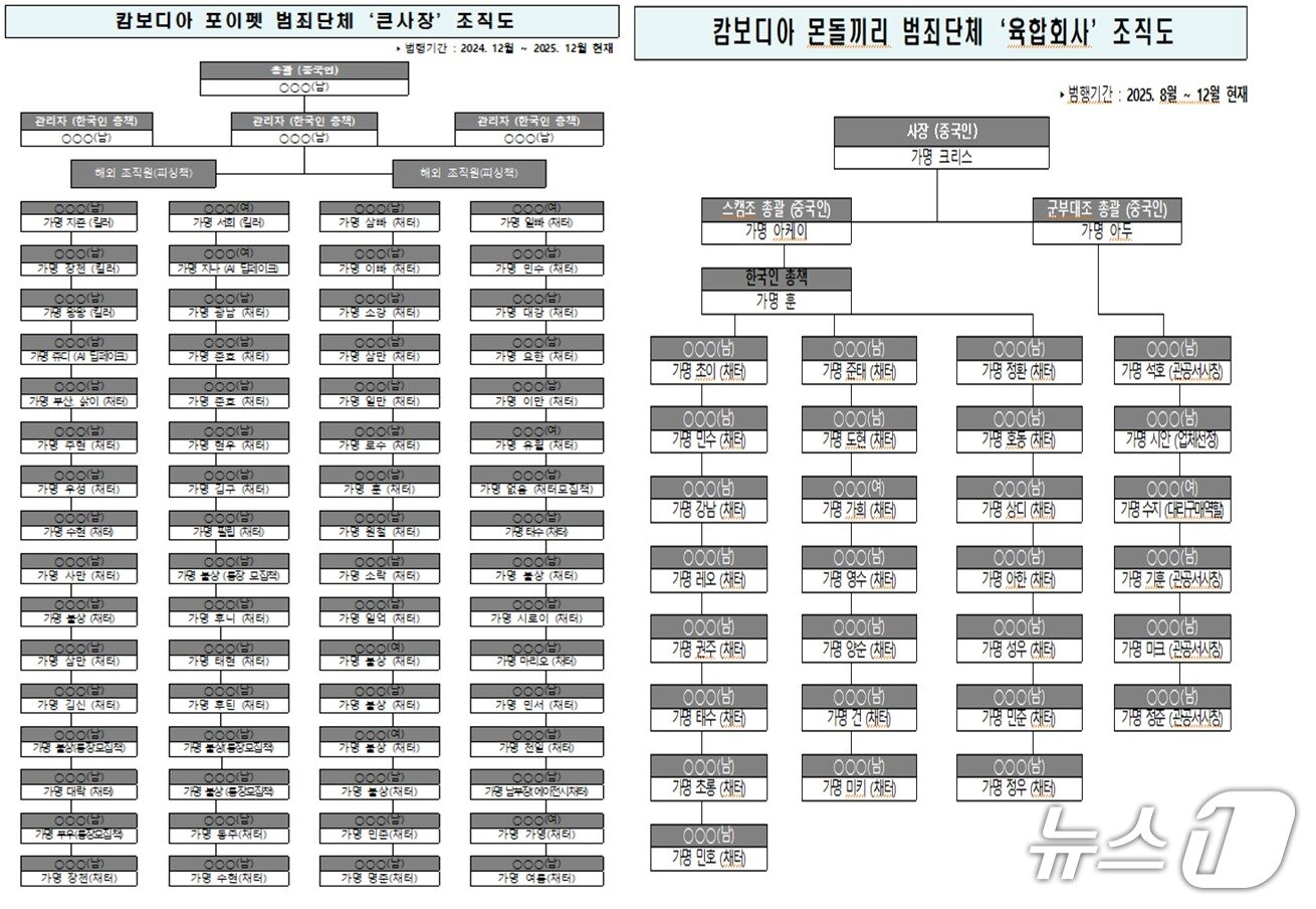 본문 이미지 -  캄보디아 현지 범죄단체 조직도. / 뉴스1