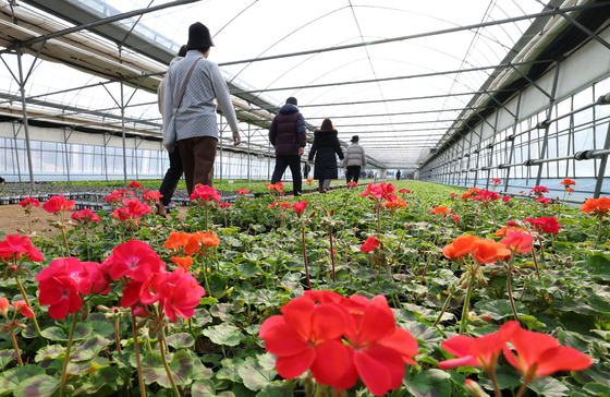 '추위에도 맨발로 걸어요'