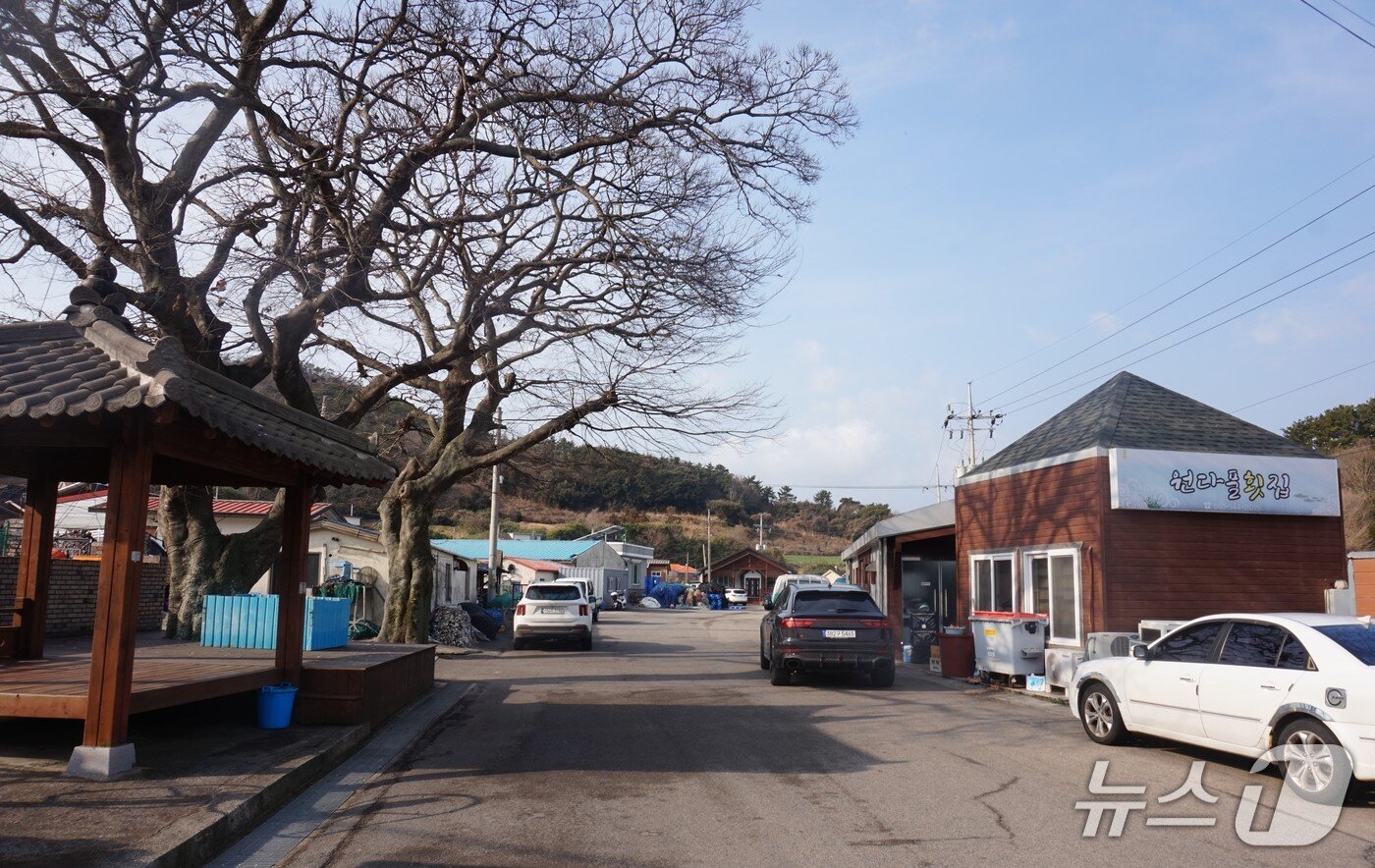 본문 이미지 - 원다마을 풍경.  횟집의 간판은 '원다풀'이다. 2026.1.30. 뉴스1 ⓒ News1 조영석 기자 