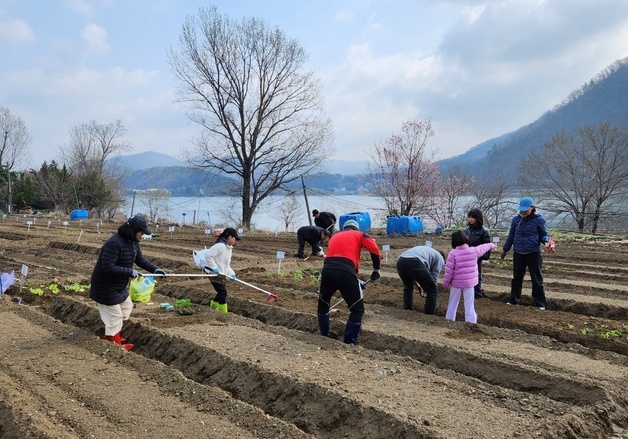 근교에 텃밭 가꾼다…서울시, '친환경농장' 참여자 모집