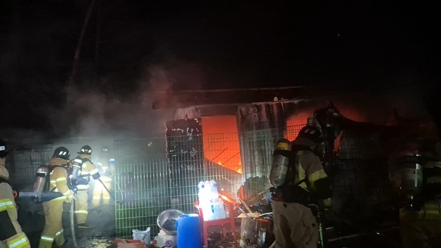 금산 유기견 보호소 불…16마리 폐사