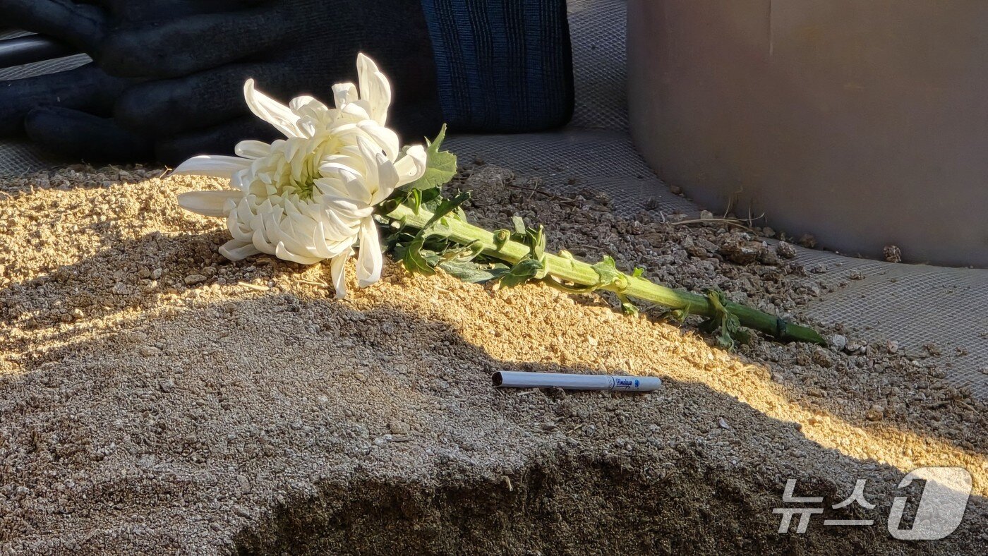 본문 이미지 - 고 이해찬 전 총리 안장식이 열린 세종시 산울동 은하수공원에 애연가였던 고인을 위해 담배 한 개피와 국화가 놓여 있다. / 뉴스1