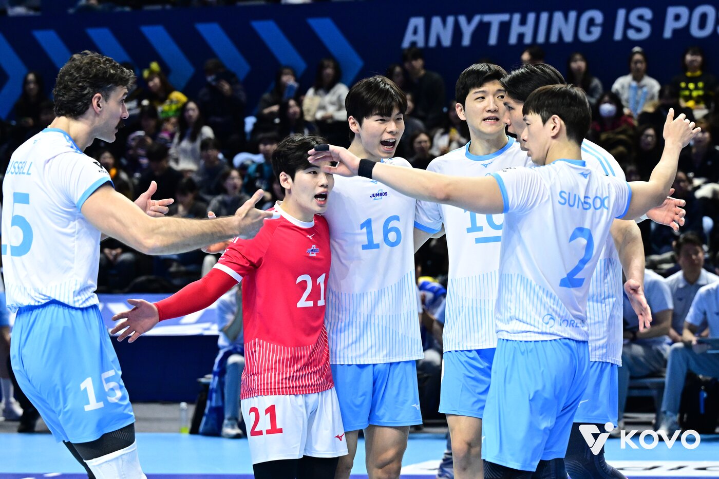 본문 이미지 - 대한항공이 KB손해보험을 꺾었다.(KOVO제공)  