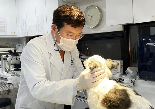 친절한 동물농장 수의사, 병원 접고 올인…"임상 환경 살리려고"