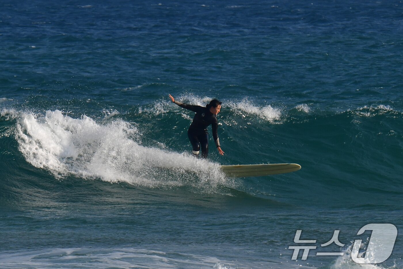 본문 이미지 - 4일 경북 포항시 북구 흥해읍 용한리해수욕장에서 서퍼들이 파도를 타고 있다. 2026.1.4/뉴스1 ⓒ News1 최창호 기자