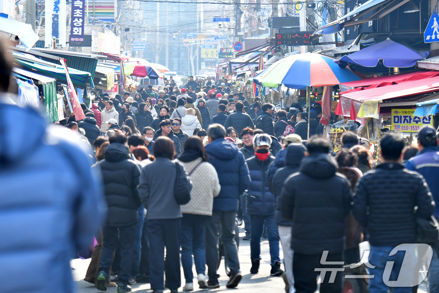 (포항=뉴스1) 최창호 기자 = 2026 병오년 새해 첫 일요일은 4일 경북 포항시 죽도어시장 곳곳이서 수산물과 건어물을 구입하려는 관광객들로 붐비고 있다. 2026.1.4/뉴스1 …