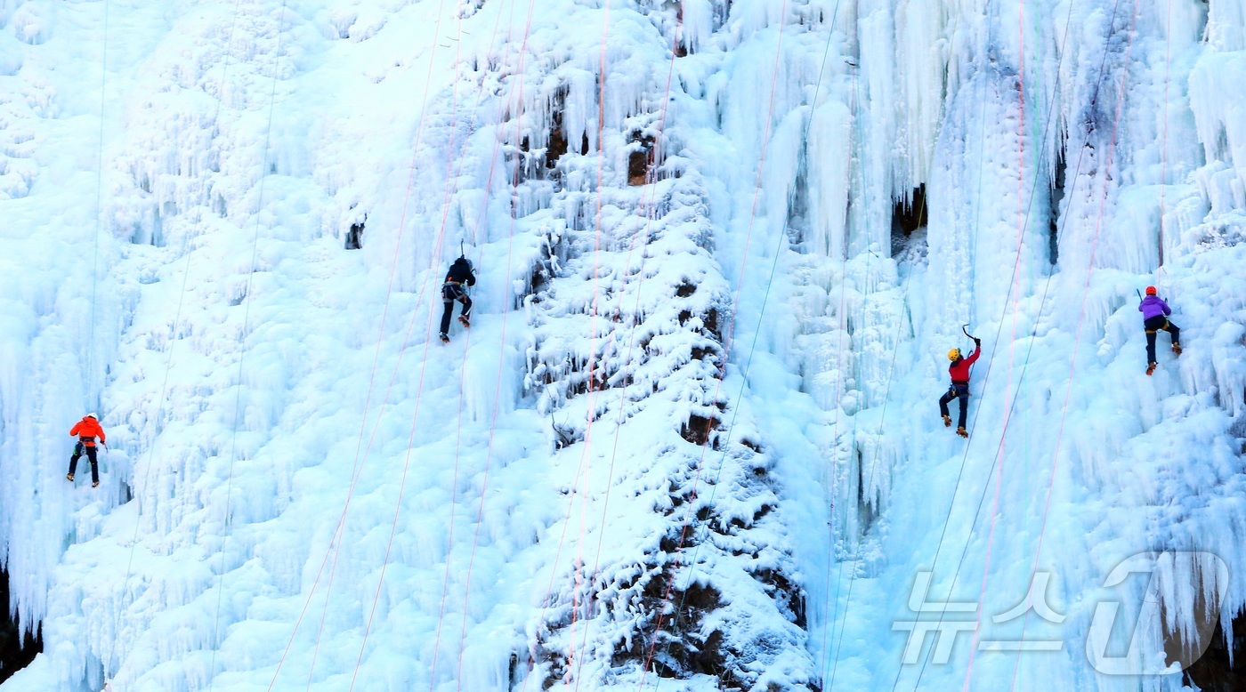 (인제=뉴스1) 한귀섭 기자 = 강원 인제 북면 용대리 매바위 인공폭포가 최근 추워진 날씨로 거대한 빙벽이 만들어진 가운데 4일 전국의 빙벽등반 동호회와 전문가들이 빙벽을 오르고 …