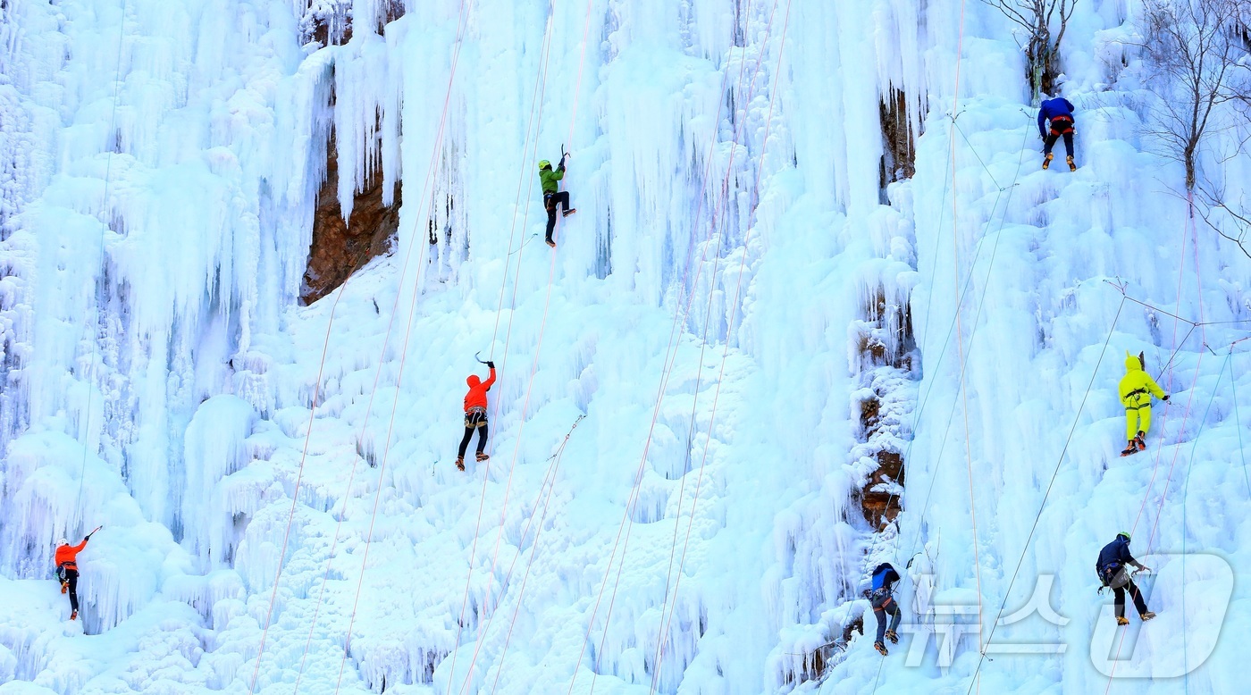 (인제=뉴스1) 한귀섭 기자 = 강원 인제 북면 용대리 매바위 인공폭포가 최근 추워진 날씨로 거대한 빙벽이 만들어진 가운데 4일 전국의 빙벽등반 동호회와 전문가들이 빙벽을 오르고 …