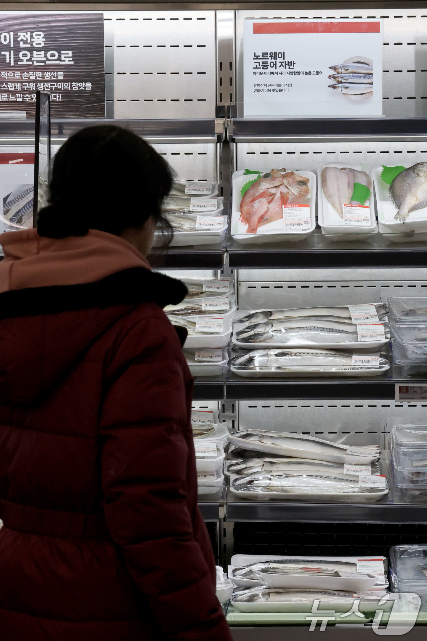 (서울=뉴스1) 이광호 기자 = 4일 서울 중구의 대형마트를 찾은 시민이 매대에 진열된 국내산과 노르웨이산 고등어를 살펴보고 있다.국내산 고등어 어획량이 급감한 데 이어 국내 소비 …