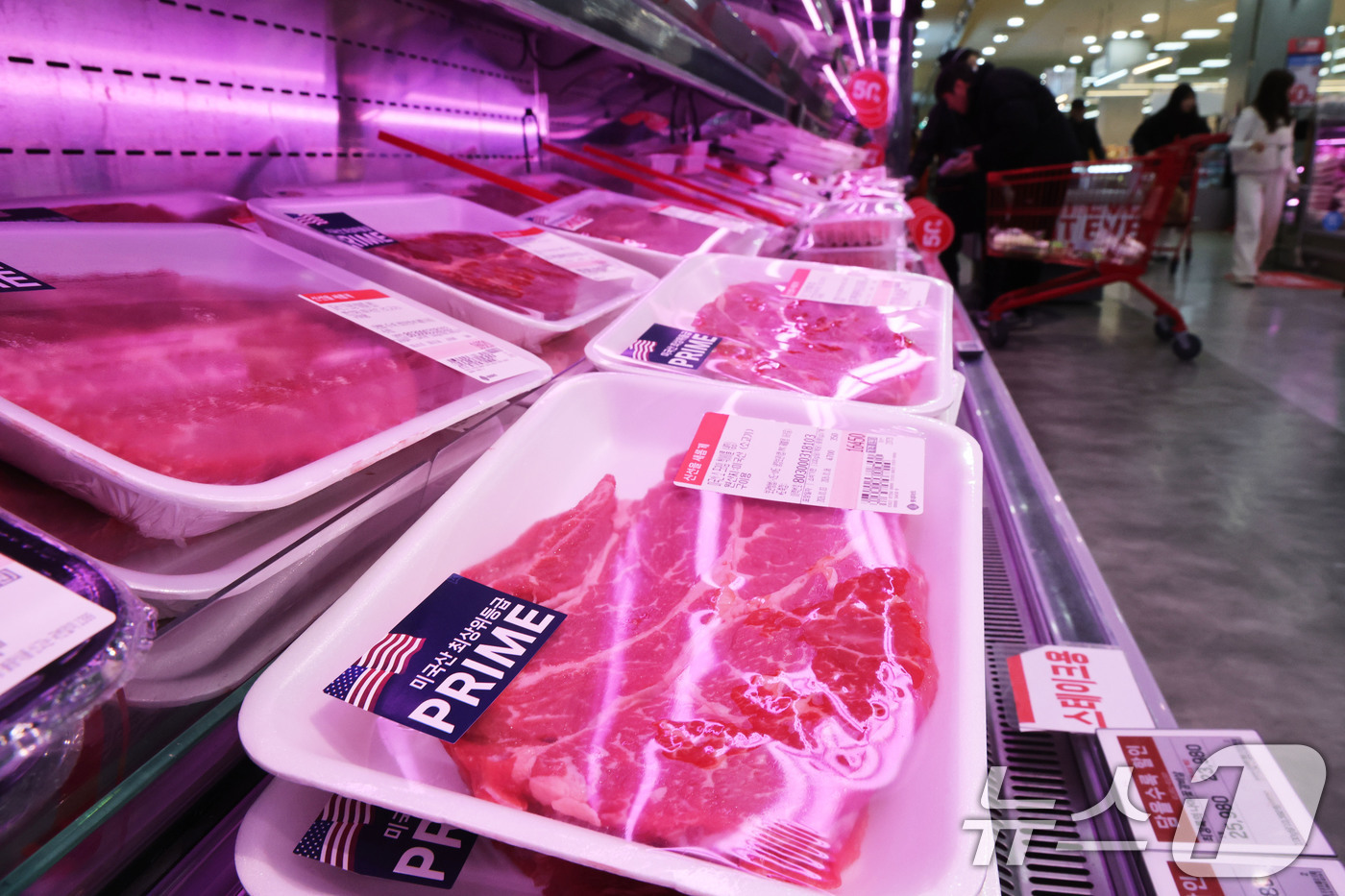 (서울=뉴스1) 이광호 기자 = 환율 상승으로 인한 소비자 물가 부담이 이어지고 있는 4일 서울 중구의 대형마트를 찾은 시민이 수입육 매대를 살펴보고 있다.지난해 12월 농·축·수 …