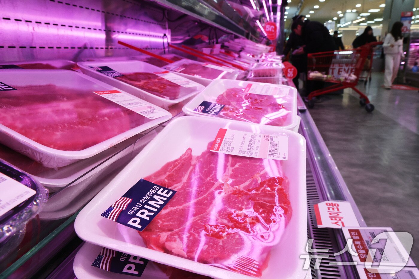 본문 이미지 - 환율 상승으로 인한 소비자 물가 부담이 이어지고 있는 4일 서울 중구의 대형마트를 찾은 시민이 수입육 매대를 살펴보고 있다.  2026.1.4/뉴스1 ⓒ News1 이광호 기자