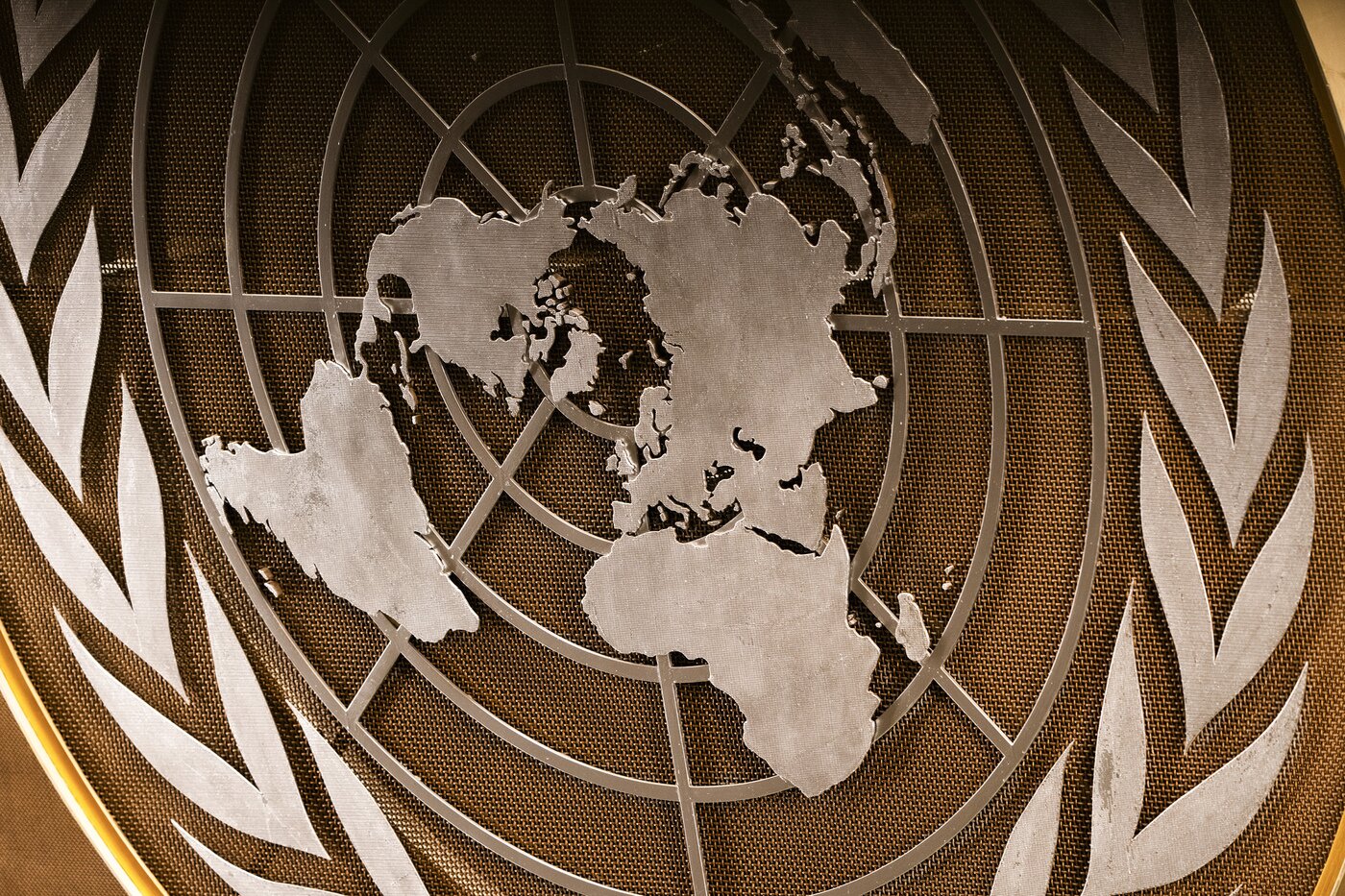 본문 이미지 - The seal of the United Nations. The organization marked the 80th anniversary of its creation in 2025. (Dave Sanders/The New York Times) ⓒ 뉴스1