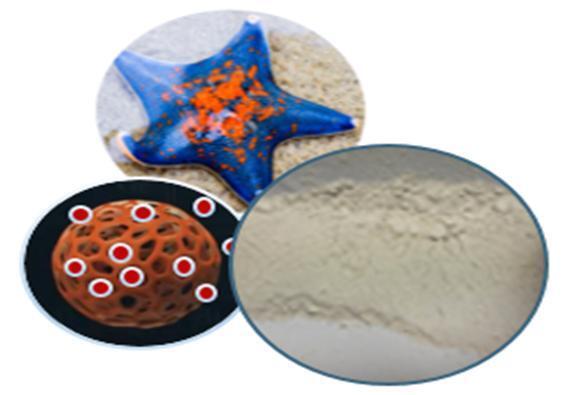 "불가사리·성게로 친환경 섬유소재 만든다"…해수부, 해양수산 신기술 8건 인증