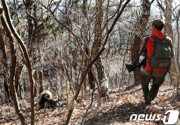 울주군 유해야생동물 피해방지단 모집…16일까지