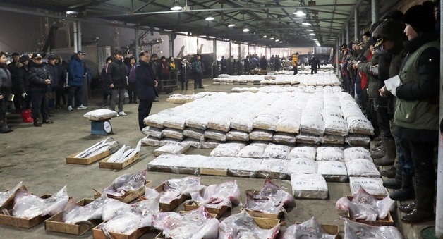 군산수협, 3년 연속 위판액 1000억 돌파 '웃음꽃'